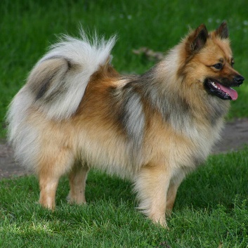 Bodie-von-der-Rosssteige