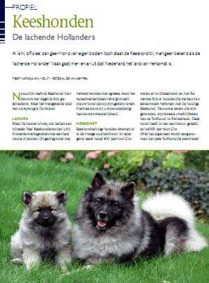 Onz-Hond
