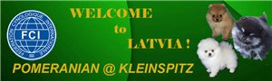 Zwerg- und Kleinspitze Latvia Lux-Lend