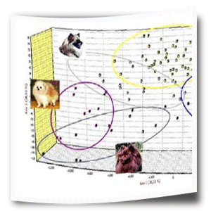 Clusterstudie