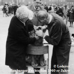 Auf-der-Hundeausstellung-01