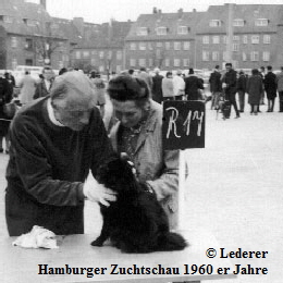 Auf-der-Hundeausstellung-02