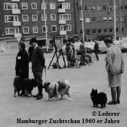 Auf-der-Hundeausstellung-32