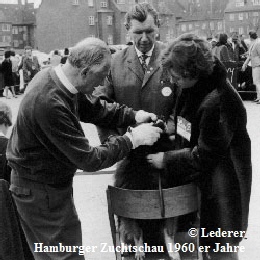 Auf-der-Hundeausstellung-4