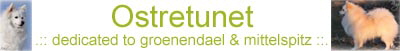 Banner Ostretunet