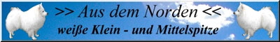 Banner-aus-dem-Norden