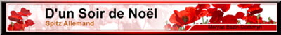 Banner d`un soir de noel