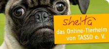 Banner-tasso-Teaser_Hund_224x101 Banner-tasso-Teaser_Hund_224x101