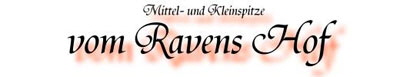 Banner-vom-Ravens-Hof