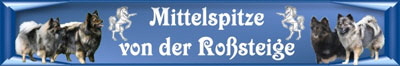 Banner-von-der-Roßsteige