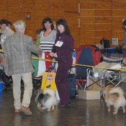 Castrop-2008-Bonita-von-der-Ro�steige