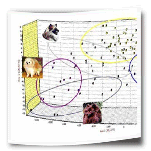 Clusterstudie
