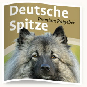 Deutsche-Spitze