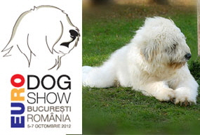 Eurodog 2012