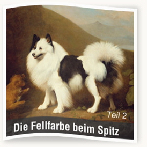 Fellfarben-Teil-2