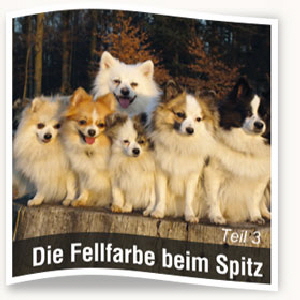 Fellfarben-Teil-3