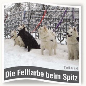 Fellfarben-Teil-4