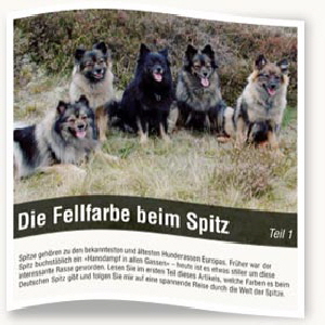 Fellfarben-der-Spitze-Teil-1