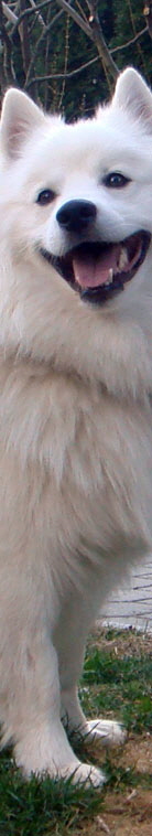 Gro�spitz-Alioth-vom-Alpenspitz-schmal