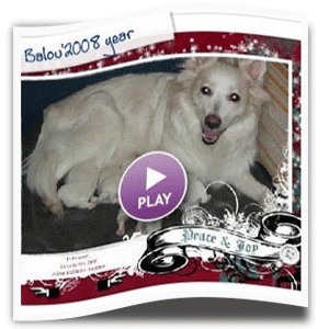 Gro�spitz-Balou