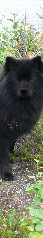 Gro�spitz Ivo von Kauthen Ruh lang