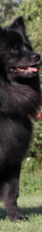 Gro�spitz schwarz05
