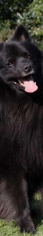 Gro�spitz schwarz06