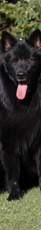 Gro�spitz schwarz07jpg
