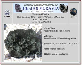 Grossspitzwelpen-Re-Jan-Moravia-2012.04.30 Grossspitzwelpen-Re-Jan-Moravia-2012.04.30
