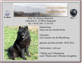 Grossspitzwelpen-vom-Drachengraben-2012.05.09 Grossspitzwelpen-vom-Drachengraben-2012.05.09