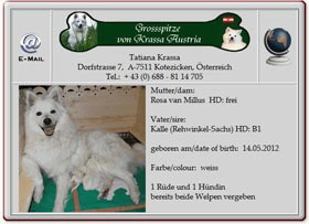 Grossspitzwelpen-von-Krassa-Austria-2012.05.17 Grossspitzwelpen-von-Krassa-Austria-2012.05.17