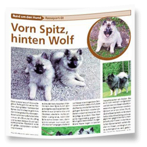 Haustieranzeiger Haustieranzeiger
