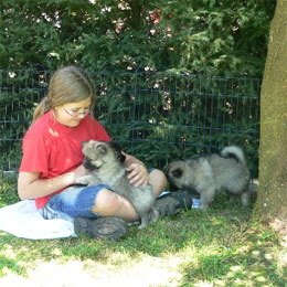 Kind-mit-Welpen