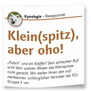 Kleinspitz-aber-oho Kleinspitz-aber-oho