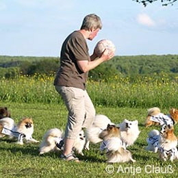 Kleinspitze-beim-Fu�ball-01