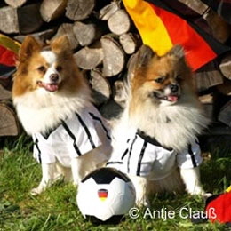 Kleinspitze-beim-Fu�ball-02