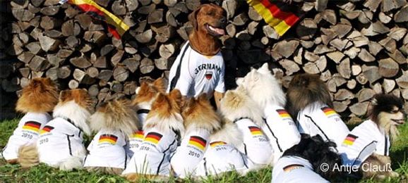 Kleinspitze-beim-Fu�ball