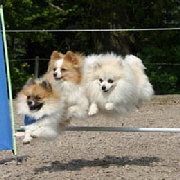 Kleinspitze-springen-zu-Dritt