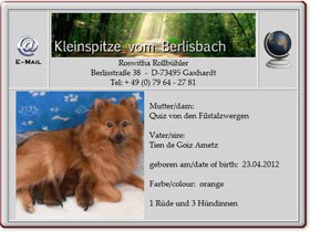Kleinspitzwelpen-vom-Berlisbach-2012.04.25 Kleinspitzwelpen-vom-Berlisbach-2012.04.25