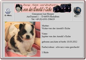 Kleinspitzwelpen-von-der-Arnolds-Eiche-Vickie-2012.04.18 Kleinspitzwelpen-von-der-Arnolds-Eiche-Vickie-2012.04.18