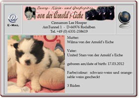 Kleinspitzwelpen-von-der-Arnolds-Eiche-Wilma-2012.04.18 Kleinspitzwelpen-von-der-Arnolds-Eiche-Wilma-2012.04.18
