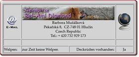 Kleinspitzzüchter-Bel-Ami-Diamond-2012.05.17 Kleinspitzzüchter-Bel-Ami-Diamond-2012.05.17