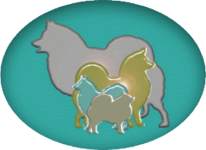 Logo-Spitz-Nothilfe