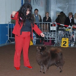 Luxemburg-2009-Harpo-Grissly-vom-Schlo�-Lindenau
