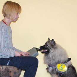 Wolfsspitz brind Medibox