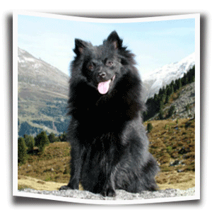 Mein-weiter-Weg-zum-Spitz1
