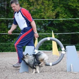Mittelspitz-beim-Agilitytraining