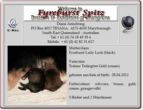 Mittelspitzwelpen-Fyreburst-luck-2012.04.29 Mittelspitzwelpen-Fyreburst-luck-2012.04.29
