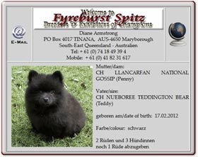 Mittelspitzwelpen-Fyreburst-penny-2012.04.29 Mittelspitzwelpen-Fyreburst-penny-2012.04.29