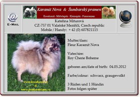 Mittelspitzwelpen-Karamit-Nova-2012.05.07 Mittelspitzwelpen-Karamit-Nova-2012.05.07